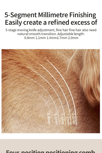 Tondeuse pour animaux sans fil rechargeable avec affichage LED - Tondeuse professionnelle sans fil pour poils de chien, têtes interchangeables, 4 guides de coupe, faible niveau sonore, charge USB 36V, pour chiens, chats et petits animaux