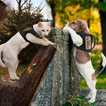 Harnais anti-fugue pour chat avec laisse – Gilet sans traction en maille douce et respirante pour la promenade et le contrôle des chats en extérieur, ajustement sécurisé pour chats de toutes tailles