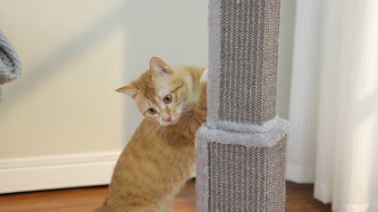 Arbre à chat à plusieurs niveaux avec poteau en sisal et jouets suspendus pour chats d'intérieur, tour d'escalade robuste et centre d'activités pour chats énergiques, disponible en gris et noir