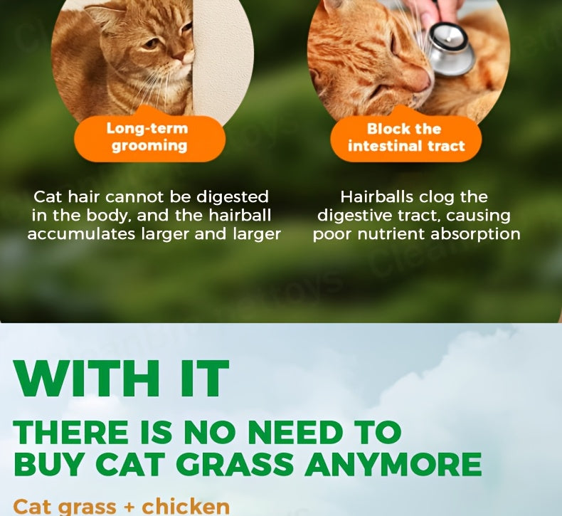 Comprimés lyophilisés d'herbe à chat pour le contrôle des boules de poils – Bâtonnets et granulés naturels à la menthe pour le soin des dents, friandises pour chat au poulet pour la santé dentaire et l'élimination des poils