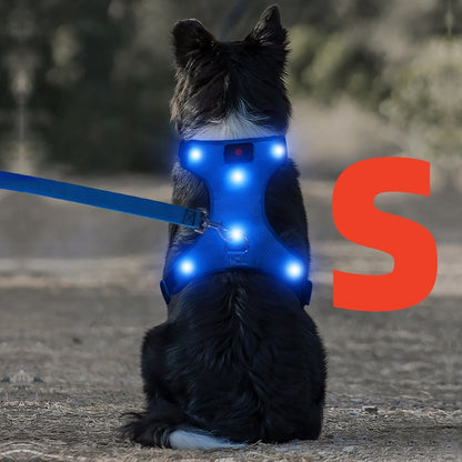 LED Light Up Dog Harness No Pull - Rechargeable Washable Glowing Dog Vest Harness with Detachable Battery for Safe Night Walking and Camping, 4 Colors & Sizes S M L for Small Medium Large Dogs