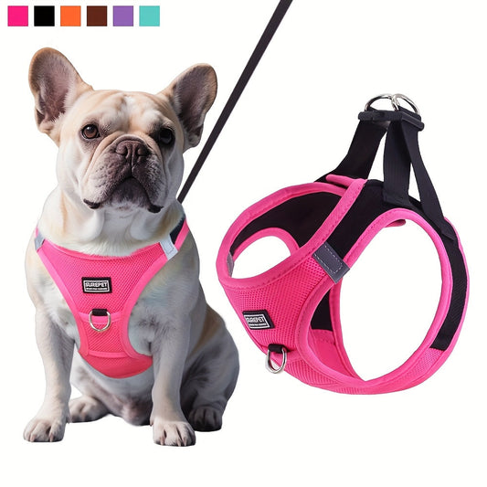 Ensemble harnais et laisse pour petit chien - Harnais de poitrine souple en maille pour petits chiens, gilet confortable et respirant pour animaux avec laisse assortie pour la marche, le jogging et le dressage