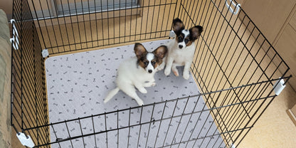 Alèses lavables et réutilisables pour chien avec motif os – Alèses d'entraînement pour chiot antidérapantes, imperméables et absorbantes, tapis de mise bas lavables en machine pour canapé, cage, parc et apprentissage de la propreté, plusieurs tailles