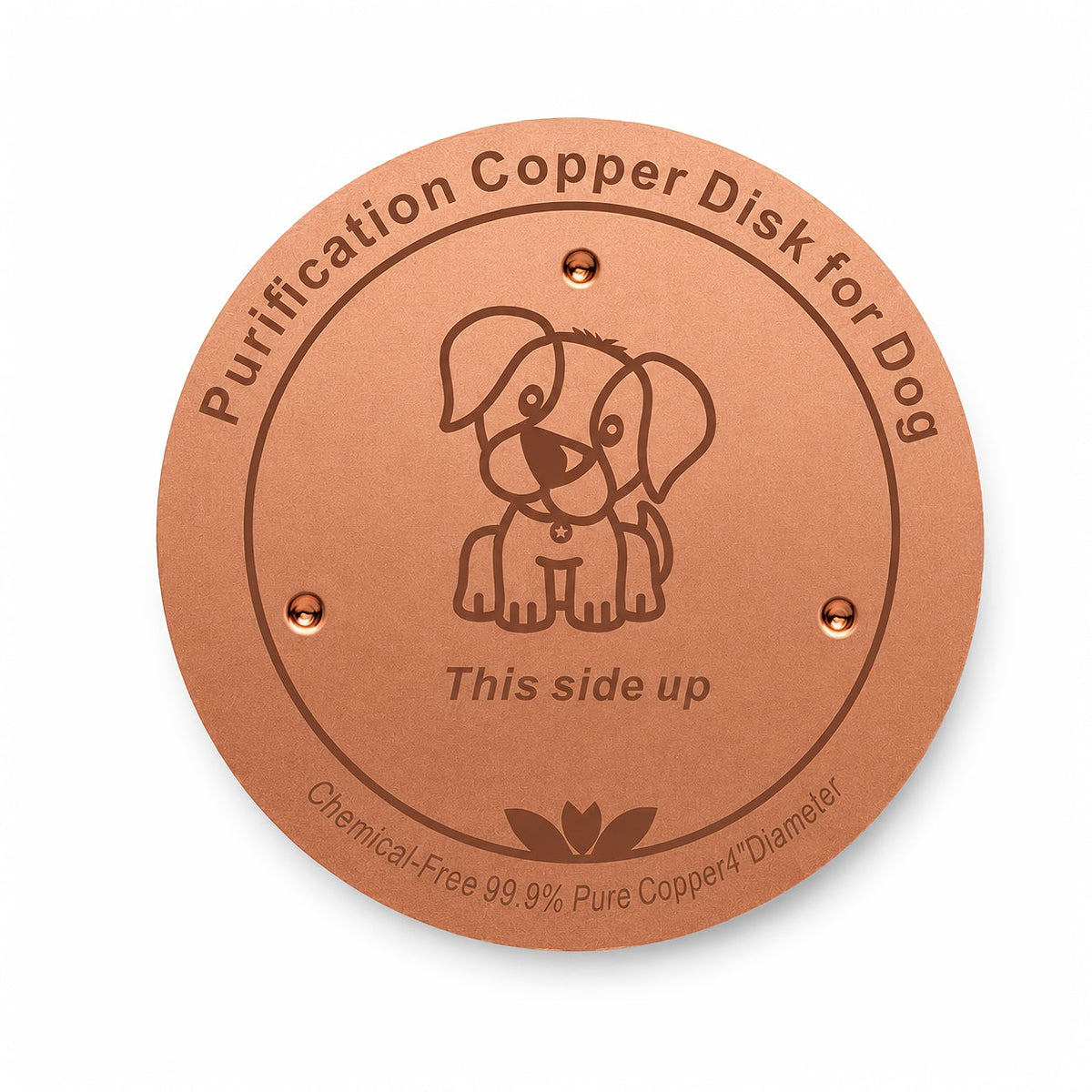 Disque de purification pour gamelle de chien en cuivre pur 10 cm - Insert de bol en cuivre réutilisable pour la purification de l'eau des chiens et animaux de compagnie - Accessoire naturel de nettoyage de l'eau sans pile pour gamelles de chien