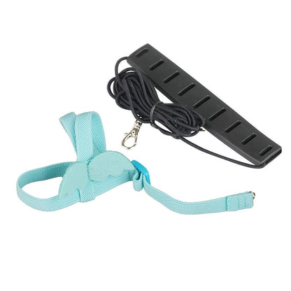 Harnais et laisse réglables pour perroquets - Laisse d'entraînement douce anti-évasion pour conures, calopsittes, inséparables, perruches et petits perroquets - 2 m de long, laisse de marche extérieure pour oiseaux, rose et bleu