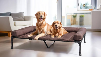 Lit surélevé rafraîchissant pour chien avec matelas amovible – Canapé pour chien surélevé avec rebords, filet respirant et pieds antidérapants pour une utilisation en intérieur et en extérieur