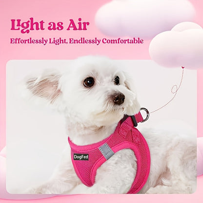 Walk-In Dog Harness and Leash Set for Small Dogs & Puppies - Breathable Mesh Reflective Soft Lightweight Pet Vest Harness, All-Weather No-Pull Dog Harness for Daily Walks & Outdoor Adventures