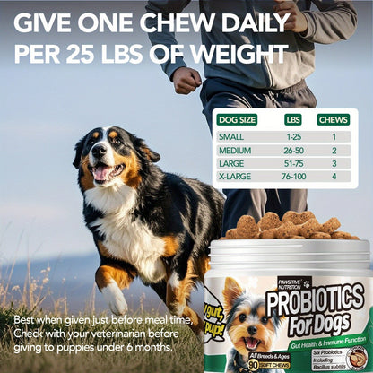 Friandises probiotiques à mâcher pour la santé digestive du chien, 90 unités, goût poulet - Favorise la santé intestinale, pour toutes les races et toutes les tailles, complément quotidien, pack de 1 ou 3 flacons