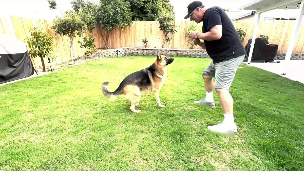 Jouets à mâcher indestructibles pour chiens, mâcheurs agressifs, grande race, jouet de dentition en nylon robuste, durable et solide, anti-ennui, jouet à mâcher interactif, occupe les chiens, rouge, 1 pce, 2 pces, 4 pces