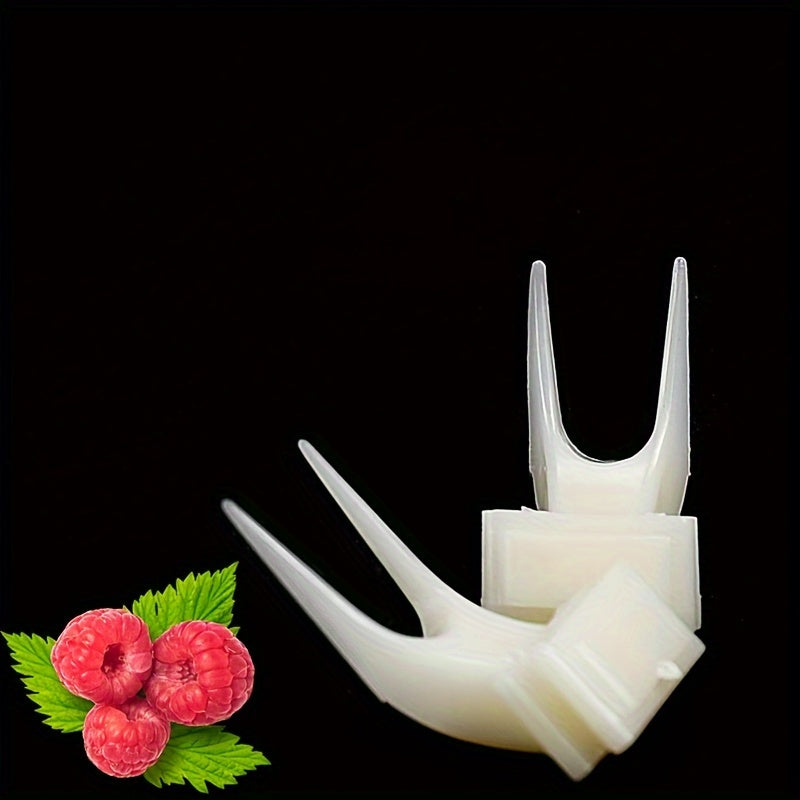Fourchette à fruits pour cage à oiseaux, 6 pièces, brochette de nourriture pour perroquets, support durable et facile à nettoyer, accessoire de nourrissage pour calopsittes, perruches, inséparables – Ensemble de mangeoire pour fruits et légumes en volière