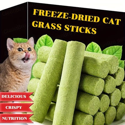 Bâtonnets à mâcher d'herbe à chat lyophilisée – Jouet à mâcher comestible pour le nettoyage des dents et l'élimination des boules de poils, friandises naturelles à l'herbe à chat, 15 ou 30 pièces
