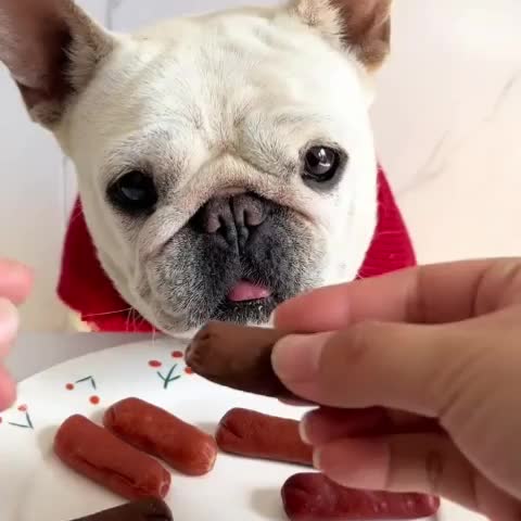Friandises pour chien au canard séché, poulet lyophilisé, tendres et moelleuses, récompenses d'éducation, digestibles et saines, saucisse de bœuf, haleine fraîche, pilon de poulet broyé, pour toutes tailles de chien (petit, moyen, grand)