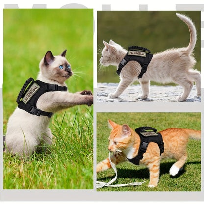 Harnais tactique réglable anti-fugue pour chat, gilet en tissu Oxford 600D, sangle de poitrine pour entraînement de chat et petit chien, taille unique universelle
