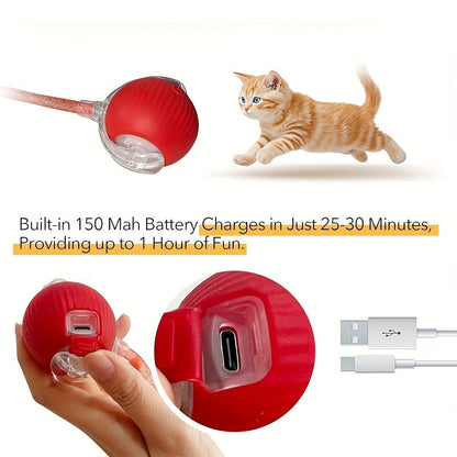 Jouet balle pour chat à roulement automatique, balle interactive électrique avec queue en filet élastique, balle intelligente à mouvement rapide pour jeu en intérieur sur tapis ou sol pour chats et chatons