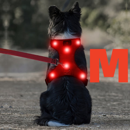 LED Light Up Dog Harness No Pull - Rechargeable Washable Glowing Dog Vest Harness with Detachable Battery for Safe Night Walking and Camping, 4 Colors & Sizes S M L for Small Medium Large Dogs