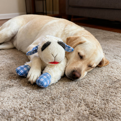 Jouet en peluche grinçant pour chien avec 5 couineurs intégrés – Peluche apaisante pour petits et moyens chiens, motif à carreaux bleu et rouge, jouet à mâcher anti-anxiété sans pile ni électricité pour races calmes