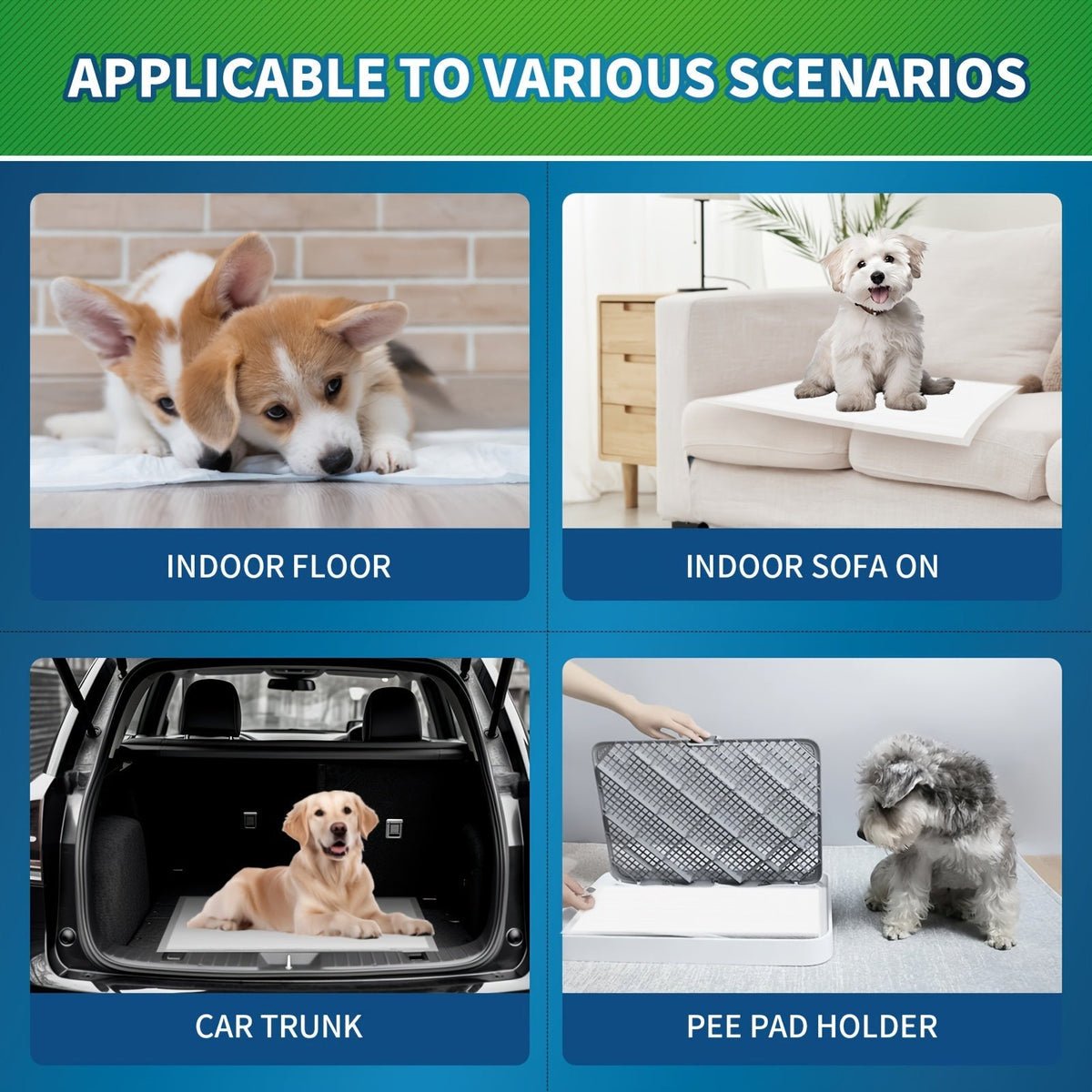 Alèses jetables pour chiens – Tapis d'apprentissage de la propreté améliorés, anti-odeurs et anti-fuites, ultra-absorbants pour le dressage à domicile, 120 unités 22"x22" / 50 unités 30"x36" / 40 unités 36"x36"