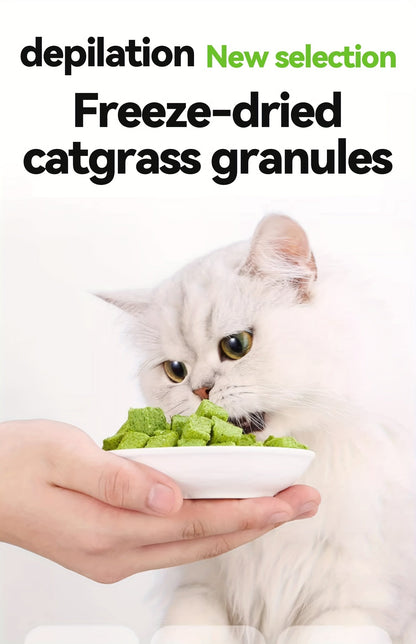 Comprimés lyophilisés d'herbe à chat pour le contrôle des boules de poils – Bâtonnets et granulés naturels à la menthe pour le soin des dents, friandises pour chat au poulet pour la santé dentaire et l'élimination des poils