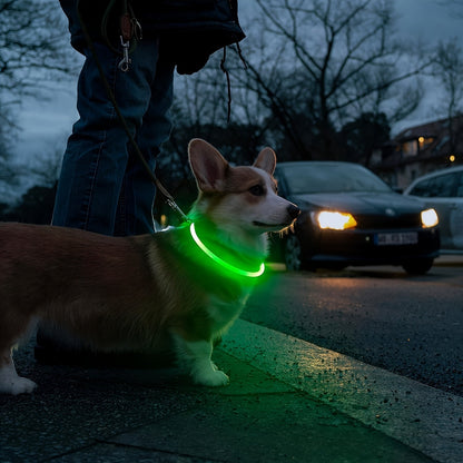 Collier pour chien à LED rechargeable par USB – Collier de sécurité lumineux à 360° avec 3 modes, réglable et découpable en TPU pour chiens de petite, moyenne et grande taille, idéal pour les promenades nocturnes, la course et la chasse