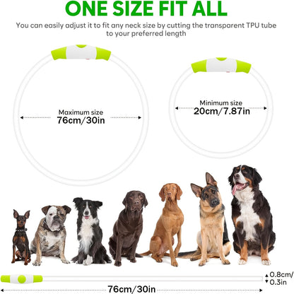 Collier pour chien à LED rechargeable par USB – Collier de sécurité lumineux à 360° avec 3 modes, réglable et découpable en TPU pour chiens de petite, moyenne et grande taille, idéal pour les promenades nocturnes, la course et la chasse