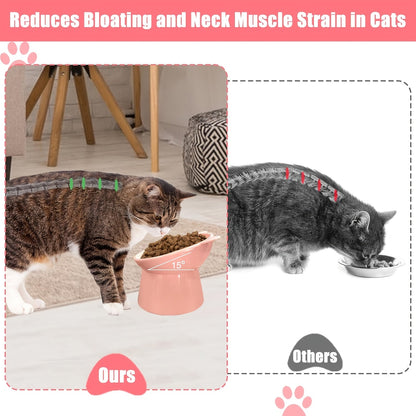 Ensemble de 3 gamelles surélevées pour chat en forme d'oreilles de chat, support antidérapant, design ergonomique pour le cou, écuelle pour animaux tricolore (rose, vert, bleu), idéal pour foyer à plusieurs chats