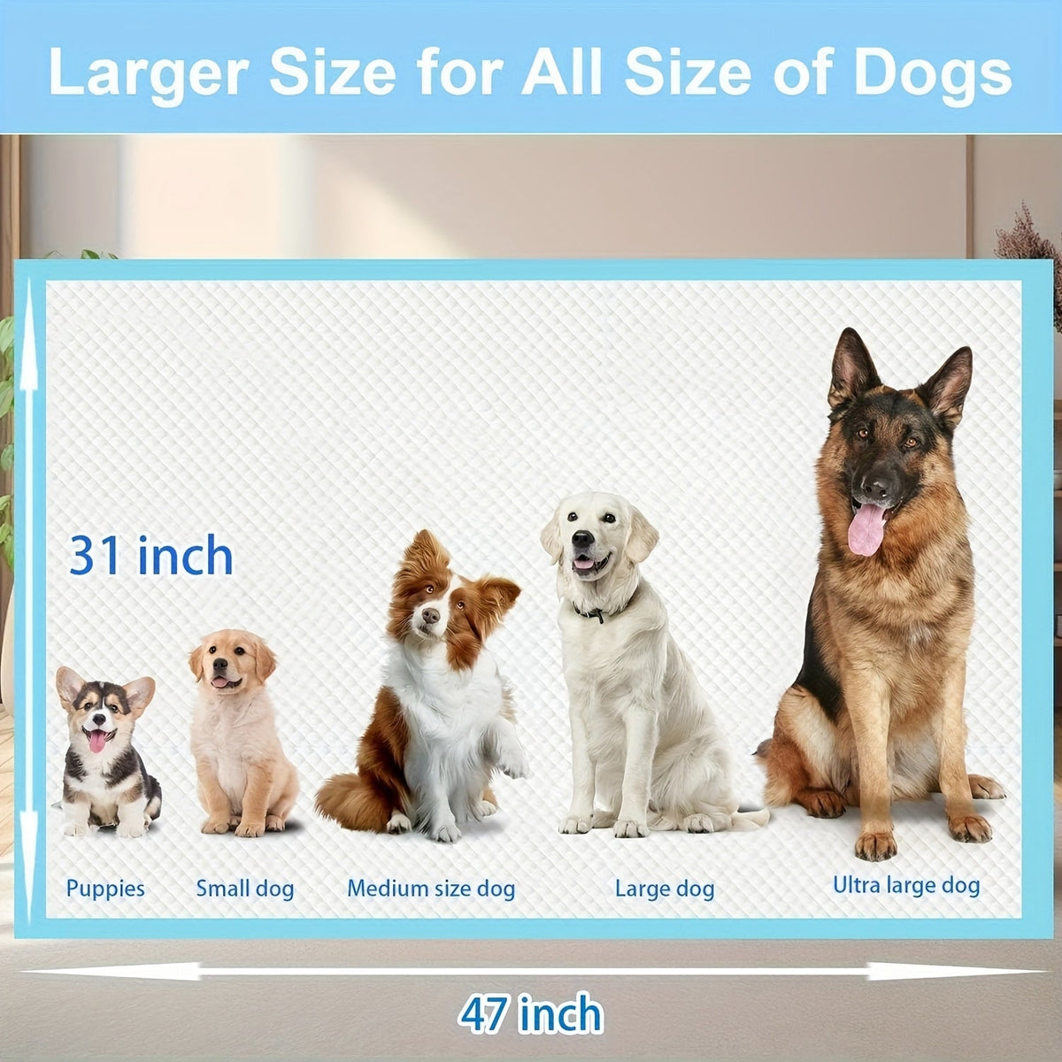 Alèses pour chiens XXXXL extra larges, 8 couches, super absorbantes, étanches et jetables pour le dressage des chiots – Paquet de 40/60/80/120 – Pour chiens, chats, lapins et usage post-opératoire – Velora