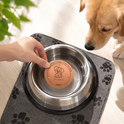 Disque de purification pour gamelle de chien en cuivre pur 10 cm - Insert de bol en cuivre réutilisable pour la purification de l'eau des chiens et animaux de compagnie - Accessoire naturel de nettoyage de l'eau sans pile pour gamelles de chien