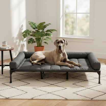 Lit surélevé rafraîchissant pour chien avec matelas amovible – Canapé pour chien surélevé avec rebords, filet respirant et pieds antidérapants pour une utilisation en intérieur et en extérieur