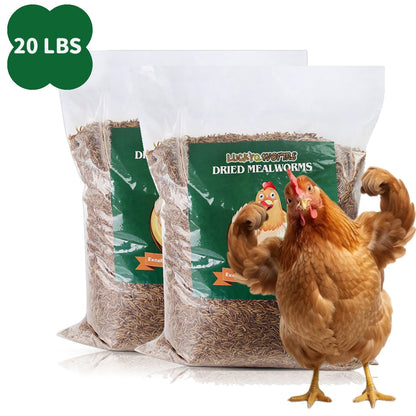Vers de farine séchés pour poules, oiseaux sauvages et canards – Aliment naturel riche en protéines pour poules, tortues, poissons, lézards et hamsters, nourriture animale séchée sans OGM, plusieurs formats de 0,6 à 40 livres