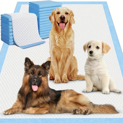 Alèses de dressage pour chiens extra larges jetables 60x60 cm, anti-fuites, anti-odeurs, absorbantes, pour chiots, accessoires pour la propreté, paquet de 50, 100 ou 200