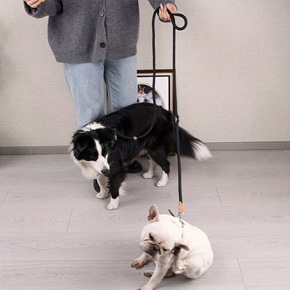 Hands-Free Double Dog Leash Nylon 1 to 2 Splitter - Sturdy Dual Dog Walking Leash for Outdoor Running, Jogging & Walking, No-Tangle Coupler for Small and Medium Dogs, 6 Colors