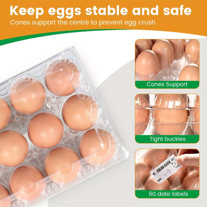 Lot de 60 boîtes à œufs transparentes en plastique, 12 alvéoles avec étiquettes – Boîtes à œufs en PET en gros pour la cuisine, l'élevage, la ferme avicole, le marché fermier et le stockage au réfrigérateur, capacité d'une douzaine d'œufs standard