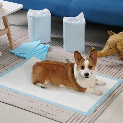 Alèses super absorbantes pour chien 60x60 cm pour le dressage des chiots et l'usage en intérieur – Alèses d'apprentissage anti-fuites et anti-odeurs, paquets économiques de 50 / 100 / 200 / 400 unités