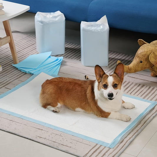 Alèses super absorbantes pour chien 60x60 cm pour le dressage des chiots et l'usage en intérieur – Alèses d'apprentissage anti-fuites et anti-odeurs, paquets économiques de 50 / 100 / 200 / 400 unités