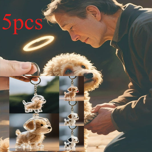 Boîte de rangement pour souvenirs de poils d'animaux, lot de 5 – Coffrets de présentation transparents pour pendentifs commémoratifs de poils de chien et de chat, joli cadeau de bijoux souvenir pour Noël, Halloween et anniversaire
