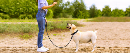 Ensemble harnais anti-traction et laisse pour chien – Harnais gilet réglable en tissu Oxford réfléchissant avec laisse à poignée rembourrée de 1,5 mètre pour chiens moyens à grands, boucles à dégagement rapide, tailles S à XL, 5 couleurs