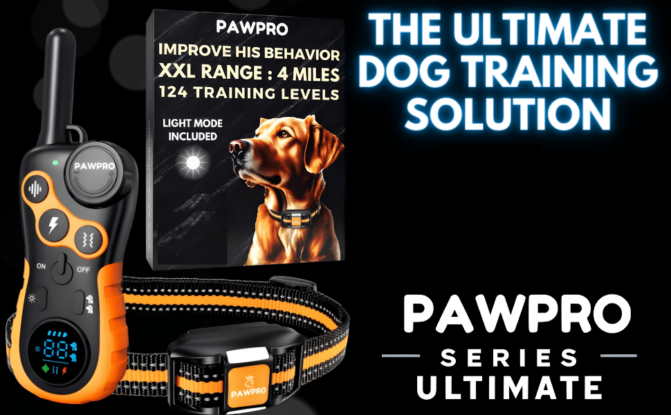 Collier de dressage pour chien avec télécommande, portée de 6 km – 124 niveaux réglables, 4 modes (bip, vibration, choc, veilleuse), collier électronique rechargeable pour chiens de 2 à 61 kg, avec guide de dressage