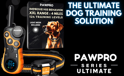 Collier de dressage pour chien avec télécommande, portée de 6 km – 124 niveaux réglables, 4 modes (bip, vibration, choc, veilleuse), collier électronique rechargeable pour chiens de 2 à 61 kg, avec guide de dressage